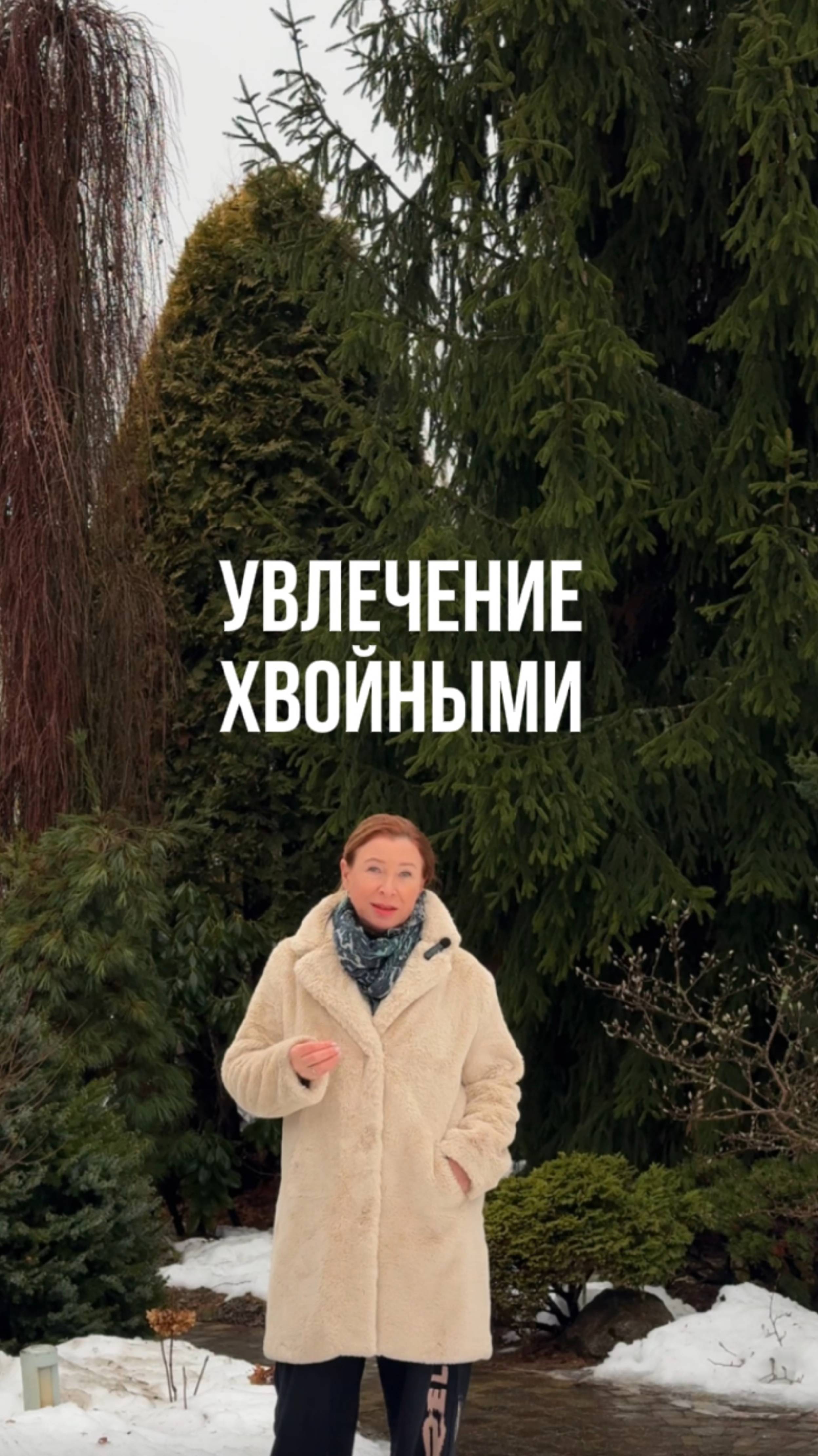 Увлечение хвойными смотреть онлайн