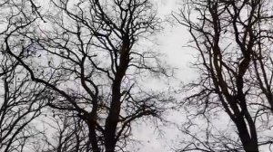 Дорога,выбор домика