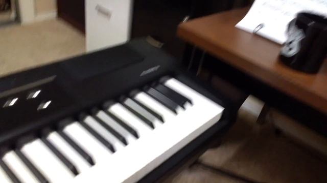 Williams Allegro 2 88 Keys Demo смотреть онлайн