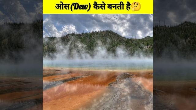 ओस कैसे बनती है । How to form Dew? #shorts смотреть онлайн