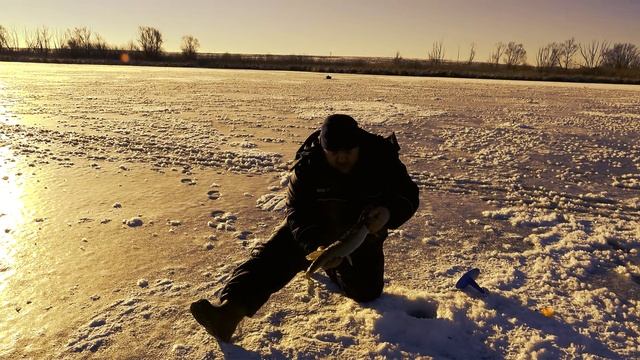 Эти щуки больше чем сруки смотреть онлайн