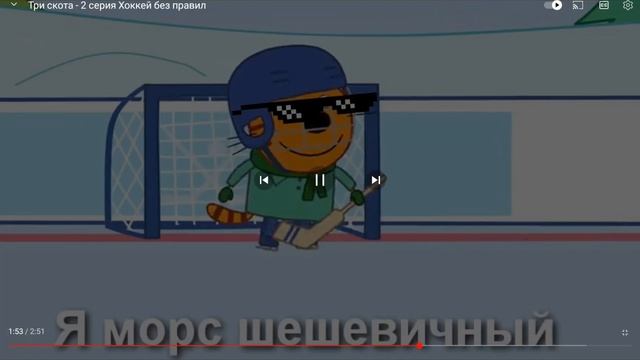 морс шешевичный победю