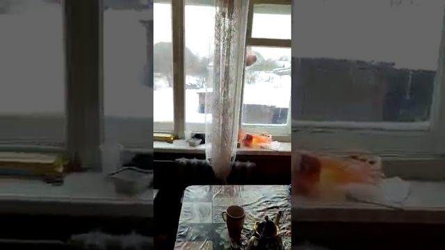 В продаже 2х-комнатная частично благоустроенная квартира улица Некрасова д. 23а город Малая Вишера смотреть онлайн