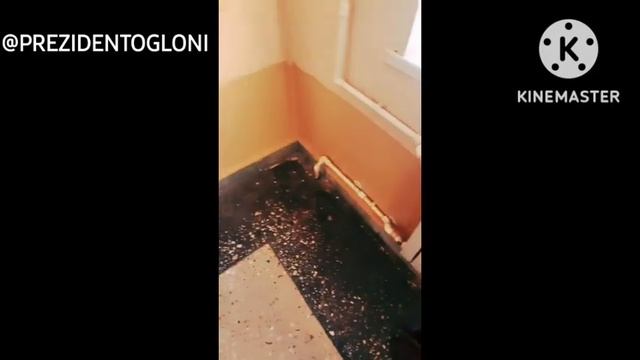 YANGIQORGON TUMAN MARKAZIY SHIFOXONADA BOLALAR VA ONALAR SOVUQDA QOLGANMI . смотреть онлайн