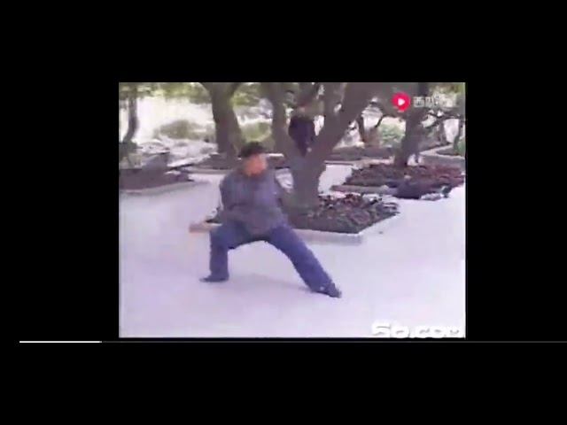 Тайцицюань стиль Ян, линия Ян Шаохоу (杨少侯).
