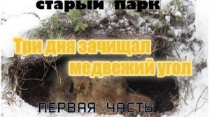 ТРИ ДНЯ ЗАЧИЩАЛ МЕДВЕЖИЙ УГОЛ. Часть первая