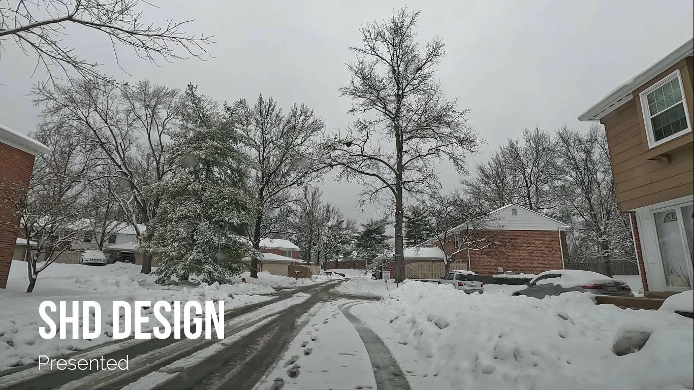 Америку занесло снегом. Сент Луис 12.01.2025 смотреть онлайн