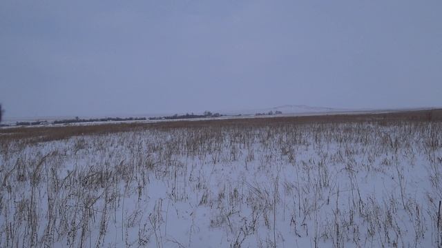 Охота на зайца - К чему приводит самоуверенность смотреть онлайн