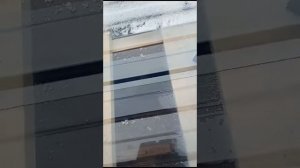 Пластиковый пэт профнастил - Пэтлист.рф  прозрачный навес