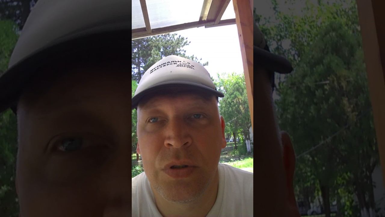 Бюджетные музыкальные инструменты и "крутые" музыканты. смотреть онлайн