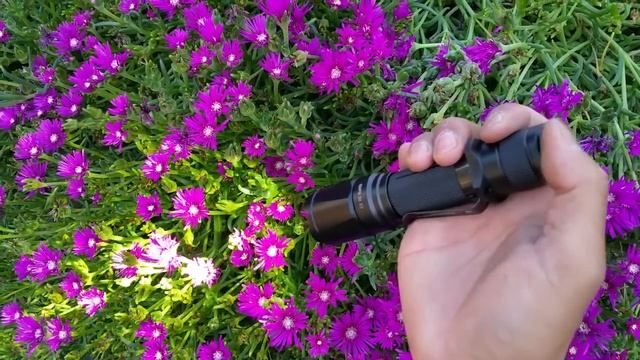 TK16vn Best Tactical Light смотреть онлайн