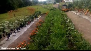 Выравниваем участок своими силами, без вложений