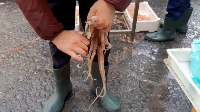 На РЫБНОМ РЫНКЕ в городе Катания. Выбор морепродуктов, цены. Сицилия смотреть онлайн