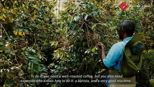 Global Coffee Festival - Fringe Events - From Crop to Cup with Terres de Café and Faema E71E смотреть онлайн