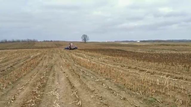 Борона LEMKEN Rubin