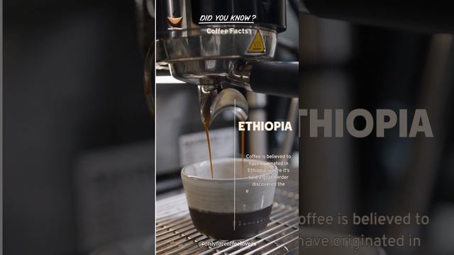 Secrets of Ethiopia's Coffee Kingdom #ethiopia смотреть онлайн