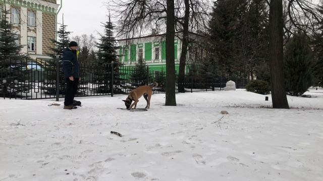 Комплекс 29 дек 2023 смотреть онлайн