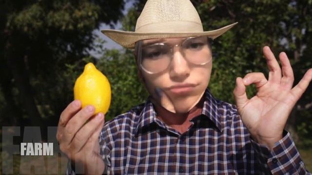 lemonade stand project смотреть онлайн