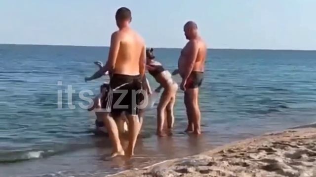 Не поделили медуз в Бердянске смотреть онлайн