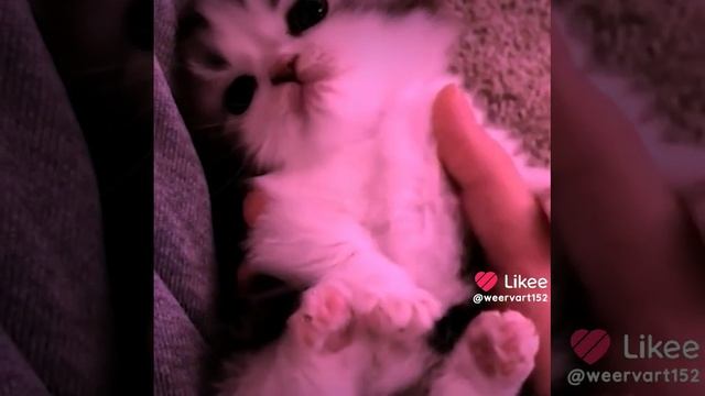хз что писать смотреть онлайн