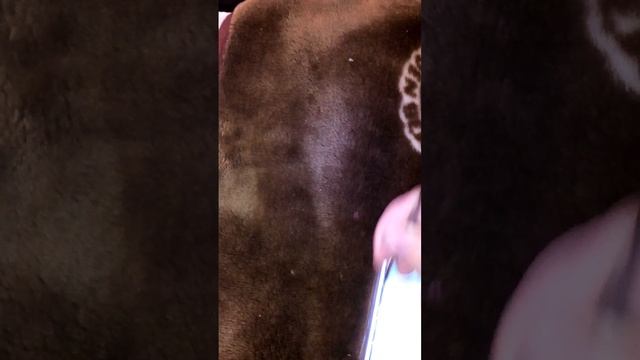 Istick pico from Gearbest смотреть онлайн