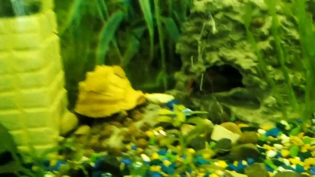 2015 11 27 11 22 15 смотреть онлайн