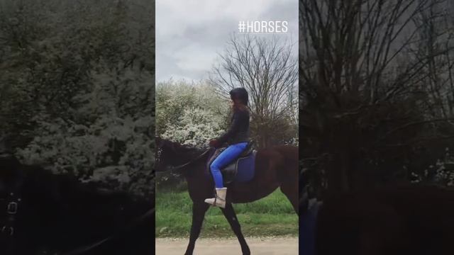 Horse 🐎 riding in kmv #пятигорск #youtubeshorts #feedshorts #кмв #goviral смотреть онлайн