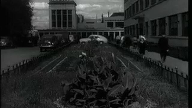 Киножурнал / НОВОСТИ ДНЯ 1954 г N 46 смотреть онлайн