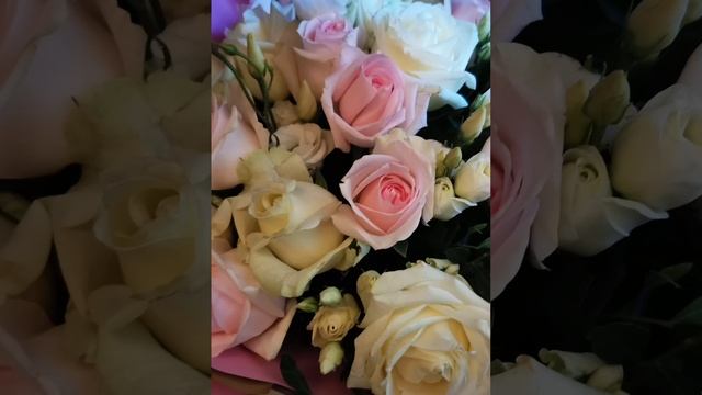 17.01.2025. Красота роз с красивой музыкой. Видео Баталовой Елены . смотреть онлайн