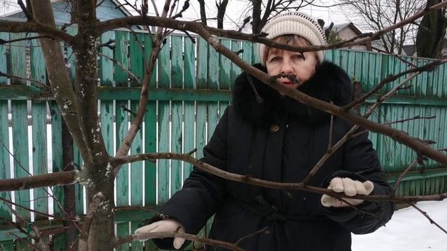 Соподчинение пробегов. смотреть онлайн