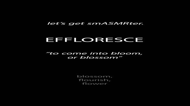 ASMR Education: Effloresce Defined, Whispers | Improve Vocabulary While Sleeping, Relaxing #shorts смотреть онлайн