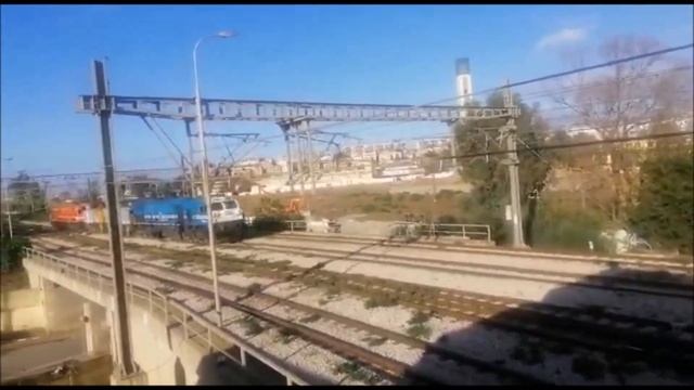 SNTF : locotracteur allemand 600 DB HUSSEIN DEY - ROUIBA similaires aux DB AG class 346 années 1970 смотреть онлайн