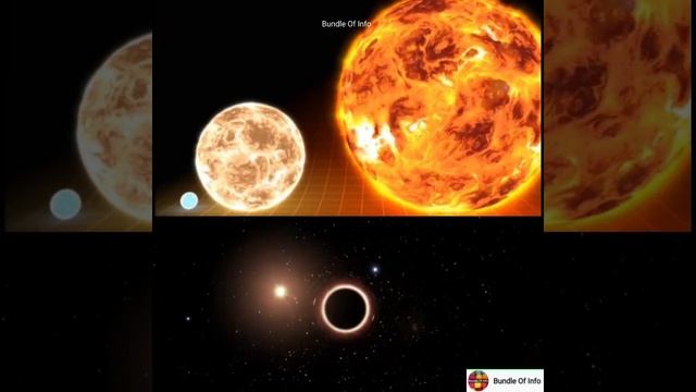 क्या हमारा सूरज भी एक दिन Black Hole बन जाएगा?|Can sun become a black hole?|#shorts смотреть онлайн