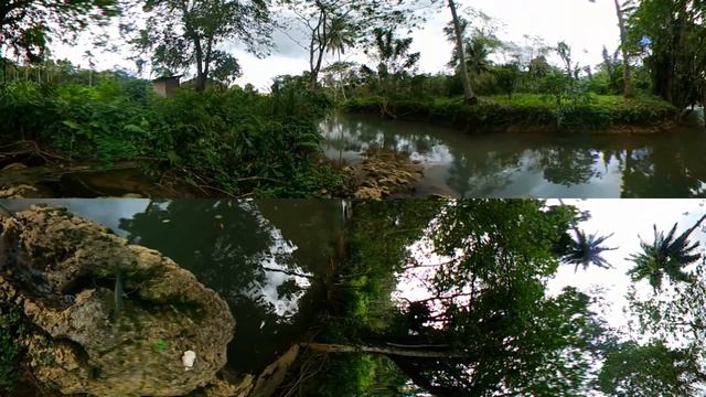 Wallenford Seven Rivers Coffee Farm River 360 Video смотреть онлайн