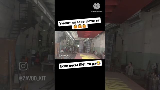 Весы КИТ-Контрольно Измерительная Техника,тел.88007002638-бесплатно по РФ, www.кит.рус #весыкит# смотреть онлайн