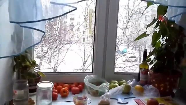 Белый свет. смотреть онлайн