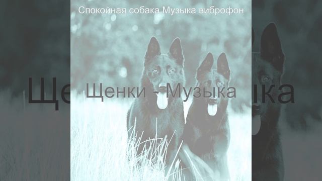 Атмосфера (Щенки) смотреть онлайн