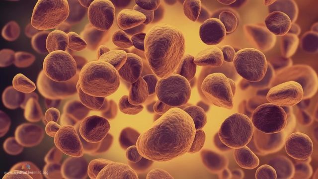 741Гц Выводит токсины и очищает Музыкальная терапия #22 смотреть онлайн