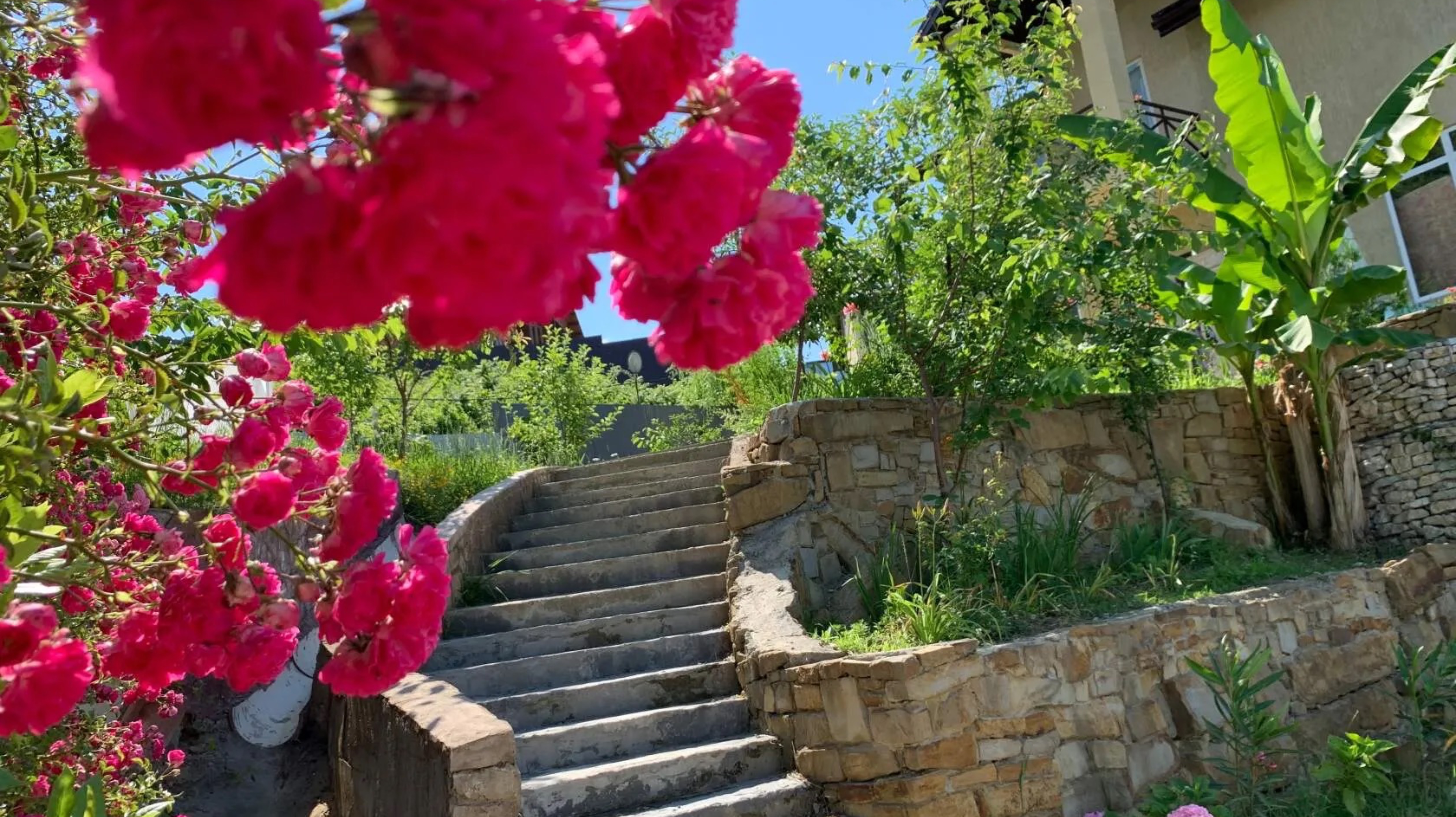 959.🎼. «Summer» - Vladimir Mun смотреть онлайн