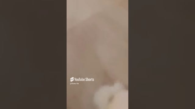 КОЛЬ-ОК (3) смотреть онлайн