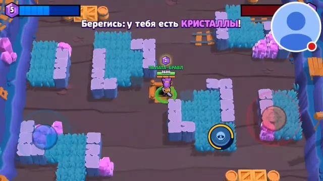 ПАЛАТА ИГРАЕТ В BRAWL STARS ОБУЧЕНИЯ И МЕДВЕДЬ (НИТА) смотреть онлайн