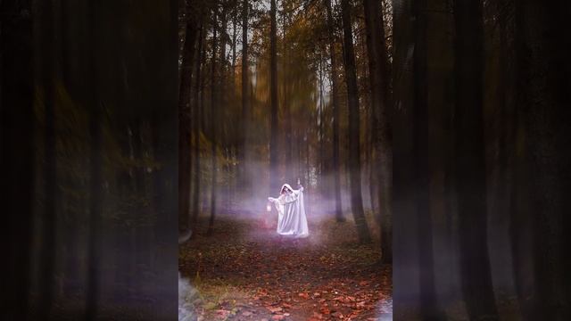 лес, живое фото смотреть онлайн