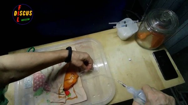 Дискусы, как предотвратить гексамитоз! Discus, how to prevent hexamitosis!