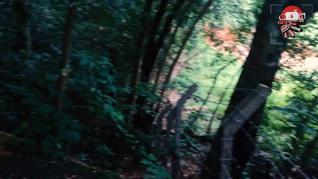 බලන්න යන්නම ඕන තැනක් (ඉත්තෑ කන්ද) yaksa# itha gala gana vitrha tika sri lanka смотреть онлайн