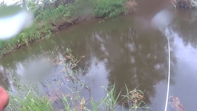 Микроджиг на донгузе смотреть онлайн