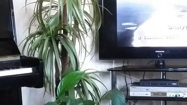 ... сделай шаг ... ! Караоке ! смотреть онлайн