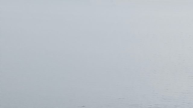 Охотское море