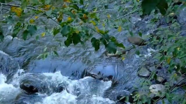 "Sibil·la Catalane" (a fragment) [Borjomi Central Park, Georgia] смотреть онлайн