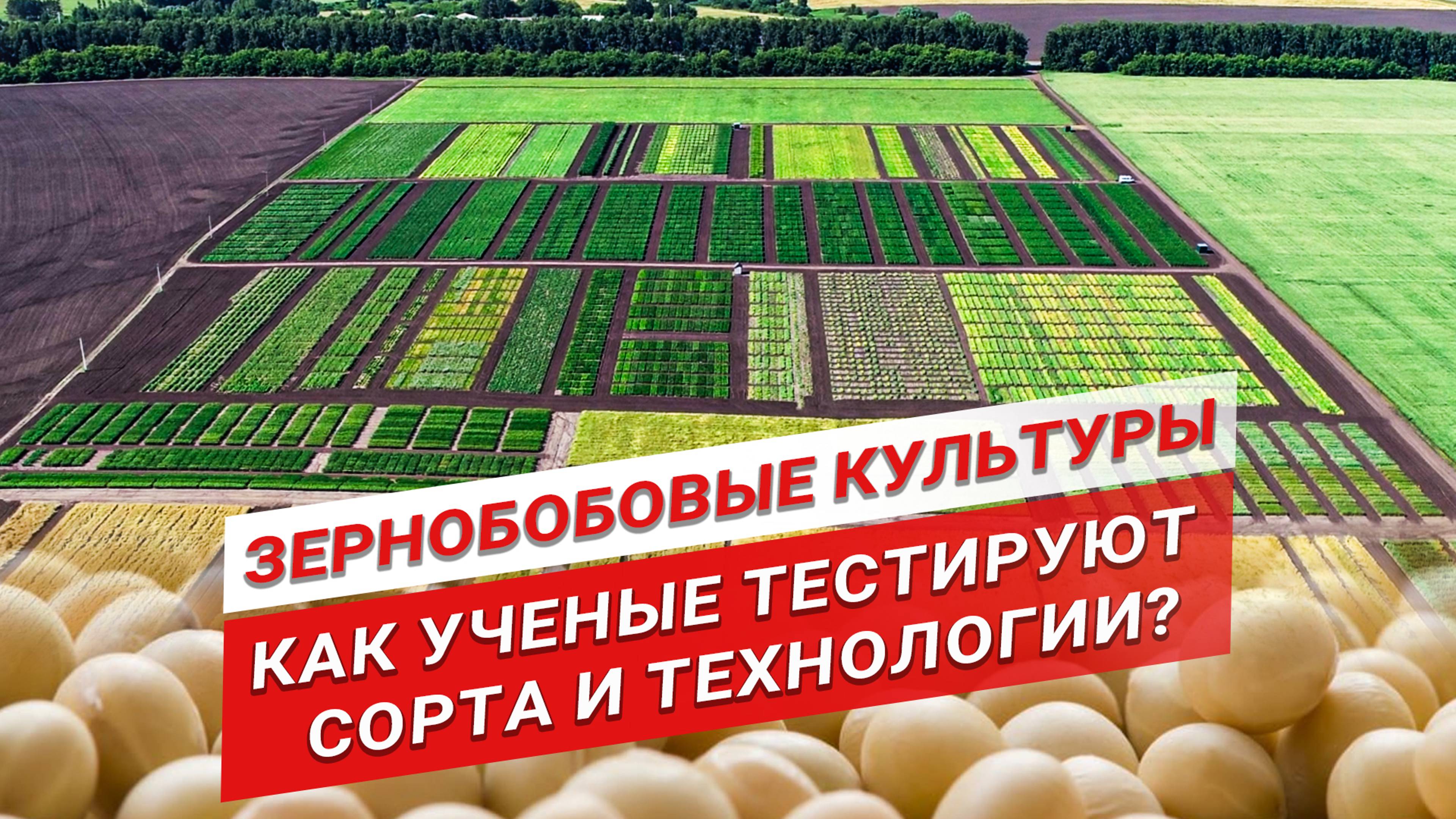 Как создают сорта и технологии выращивания? | Чек-лист по сое | Подкормка для сои и гороха смотреть онлайн