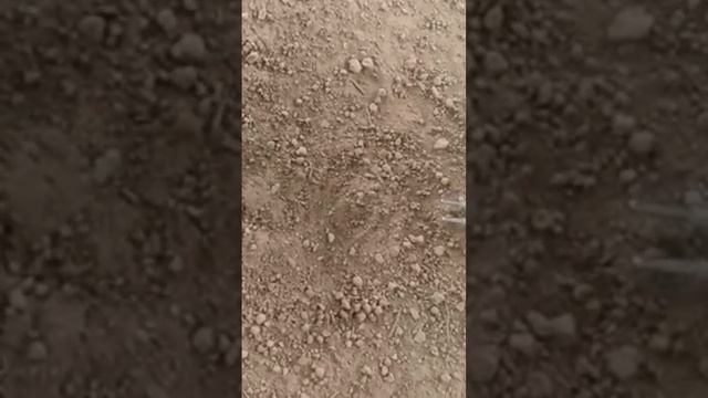 radio active thermo meter test смотреть онлайн